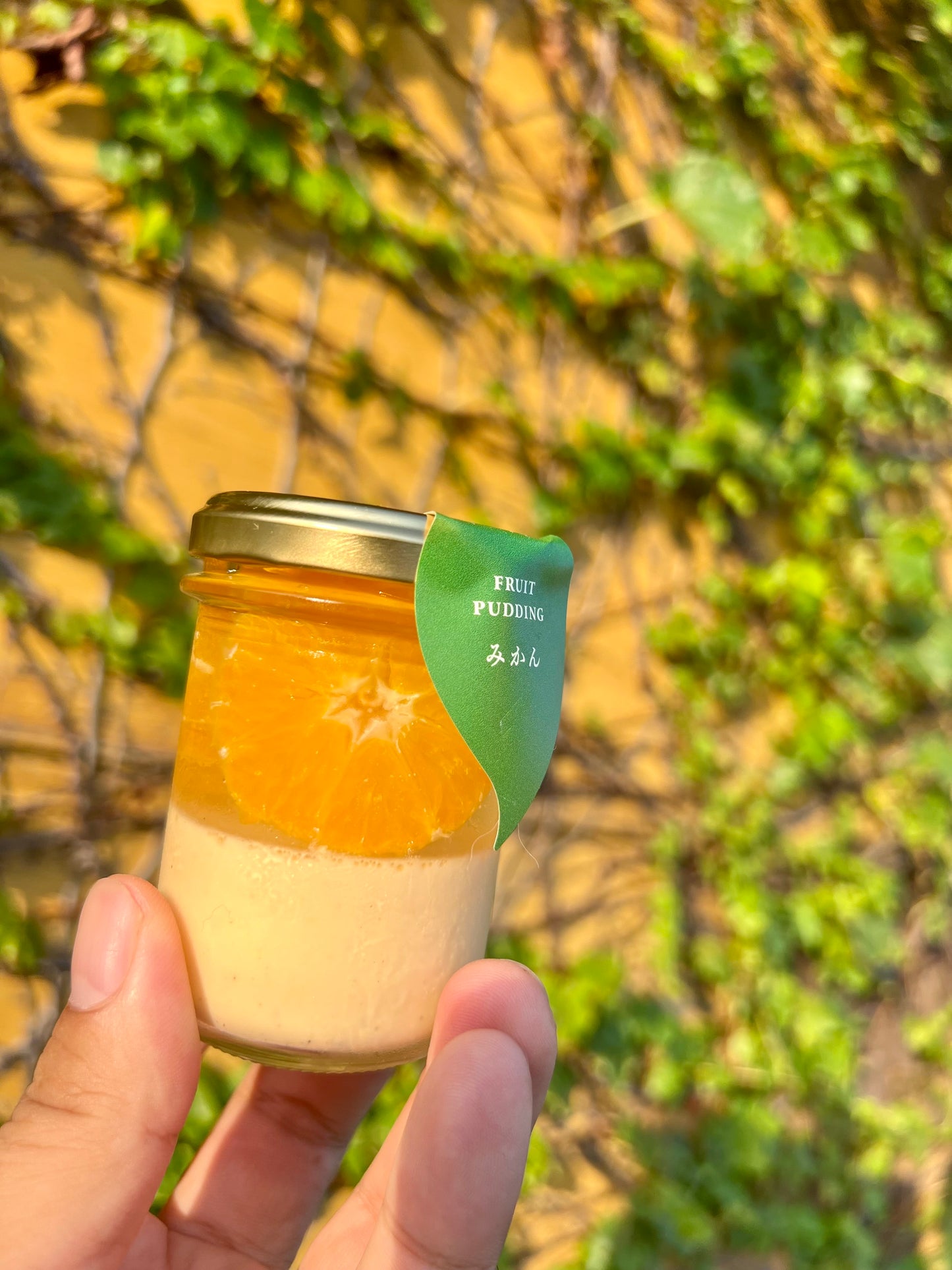 丸ごとみかんプリン(静岡県産三ケ日みかん使用)9個セット